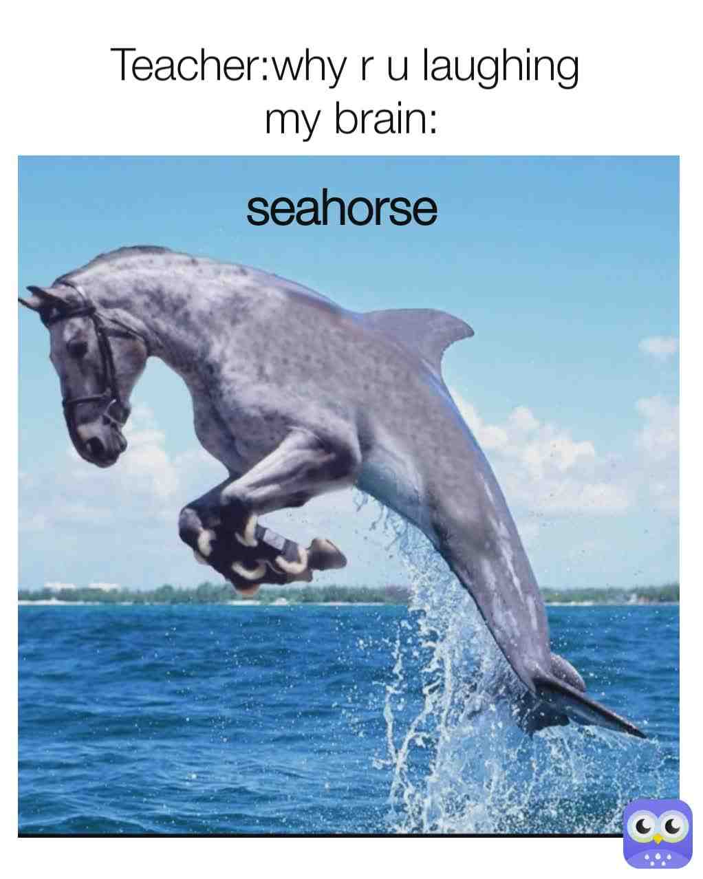 Meme shared by @Code_Error123