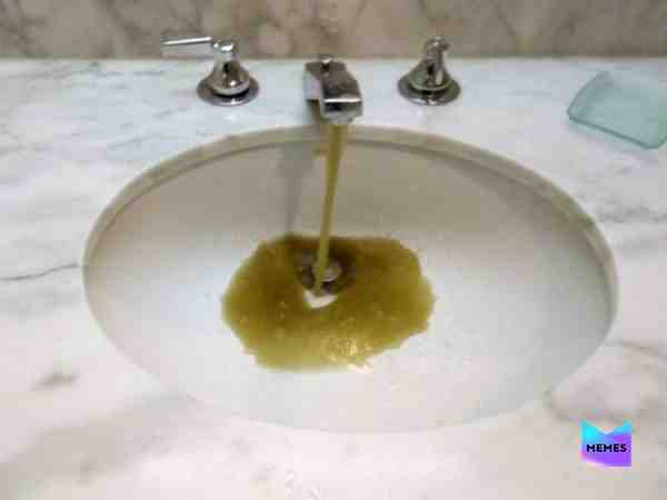 #disgusting #cursedimages #nowordsneeded