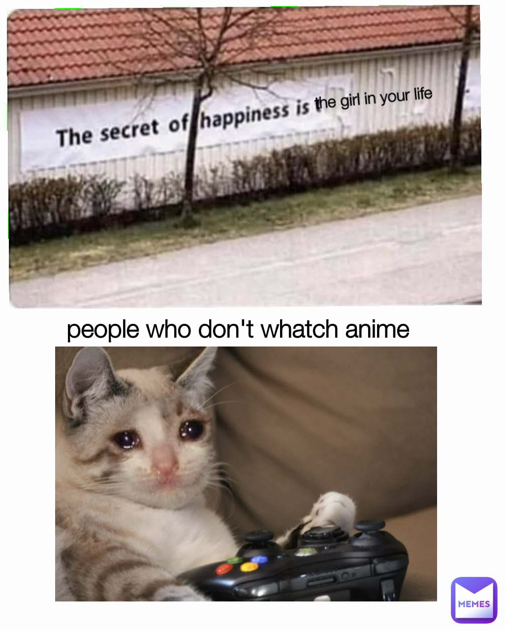 the girl in your life 
 people who don't whatch anime 
