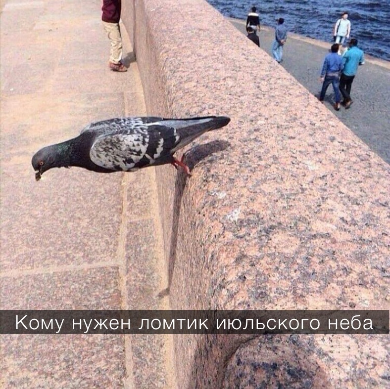 Кому нужен ломтик июльского неба