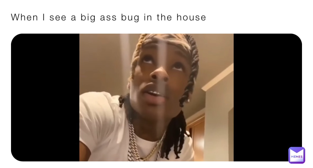 When I see a big ass bug in the house