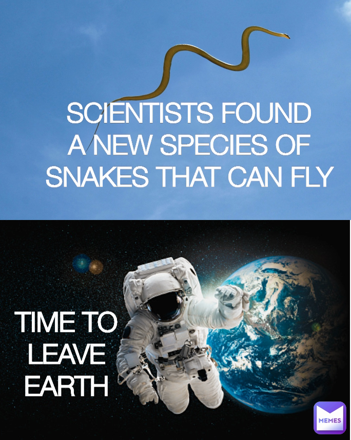 TIME TO LEAVE EARTH SCIENTISTS FOUND A NEW SPECIES OF SNAKES THAT CAN FLY