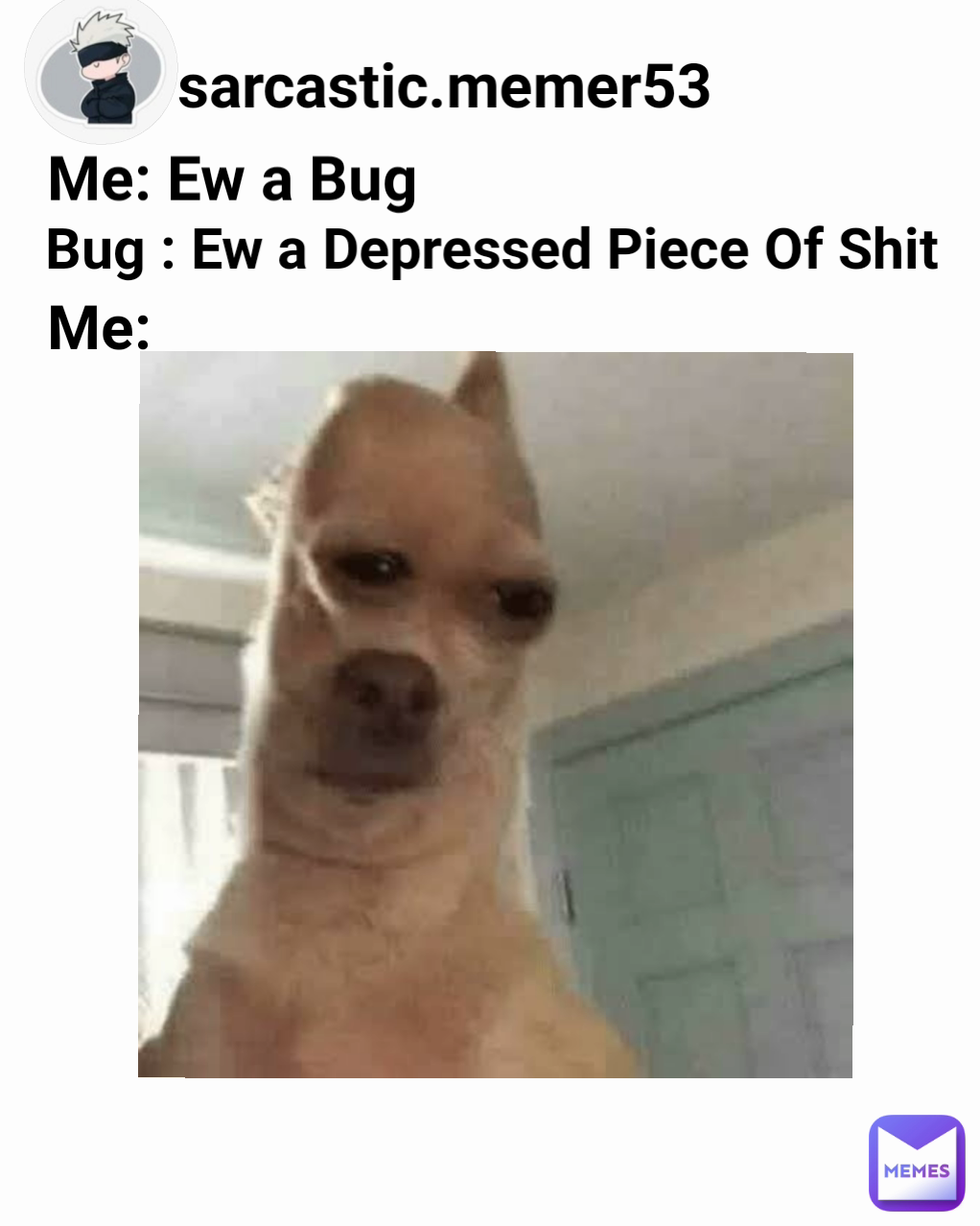 Me: Ew a Bug sarcastic.memer53 Bug : Ew a Depressed Piece Of Shit Me: