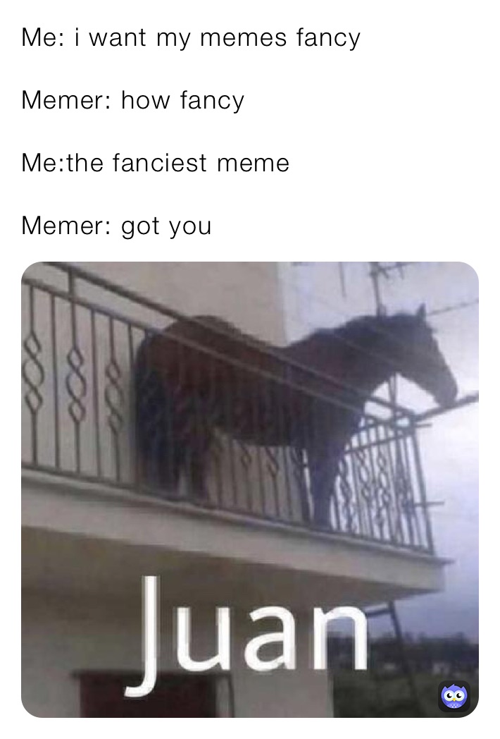 Me: i want my memes fancy

Memer: how fancy

Me:the fanciest meme

Memer: got you