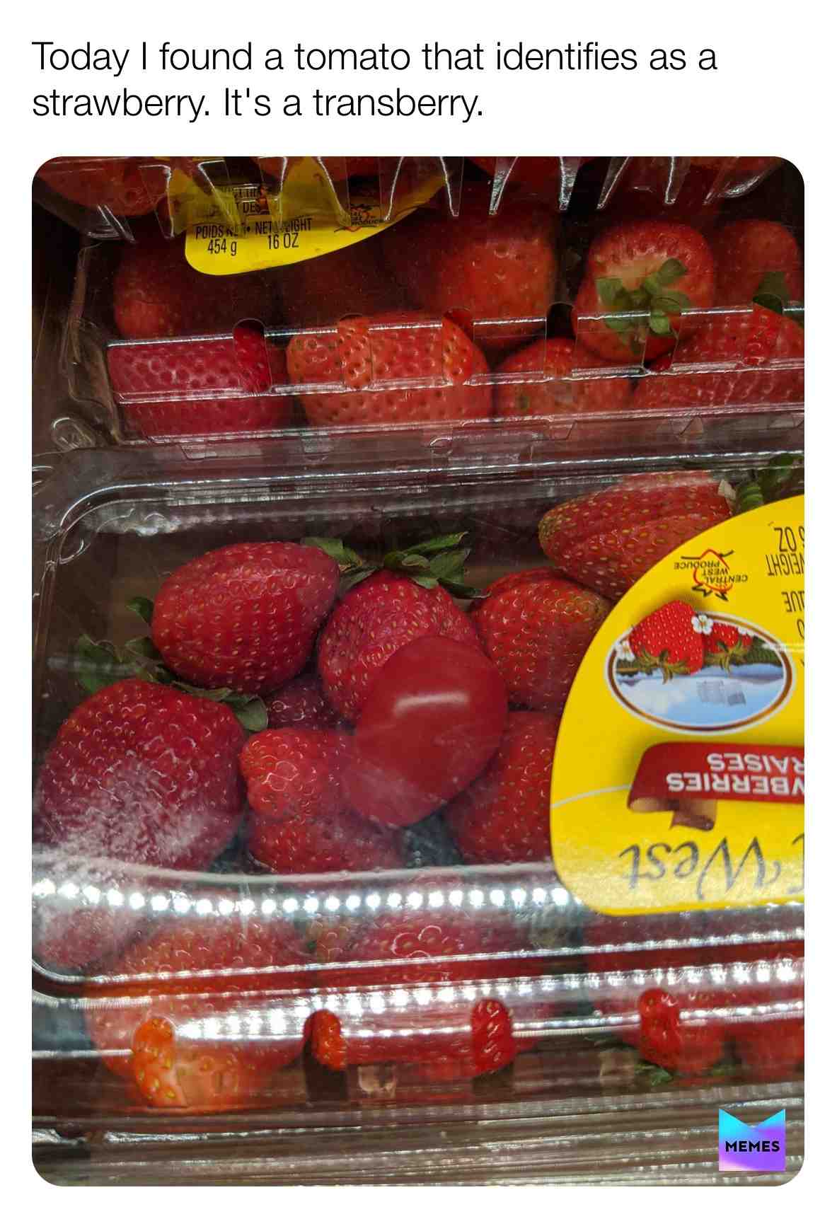 #trans #fruit #funny #lol #identify