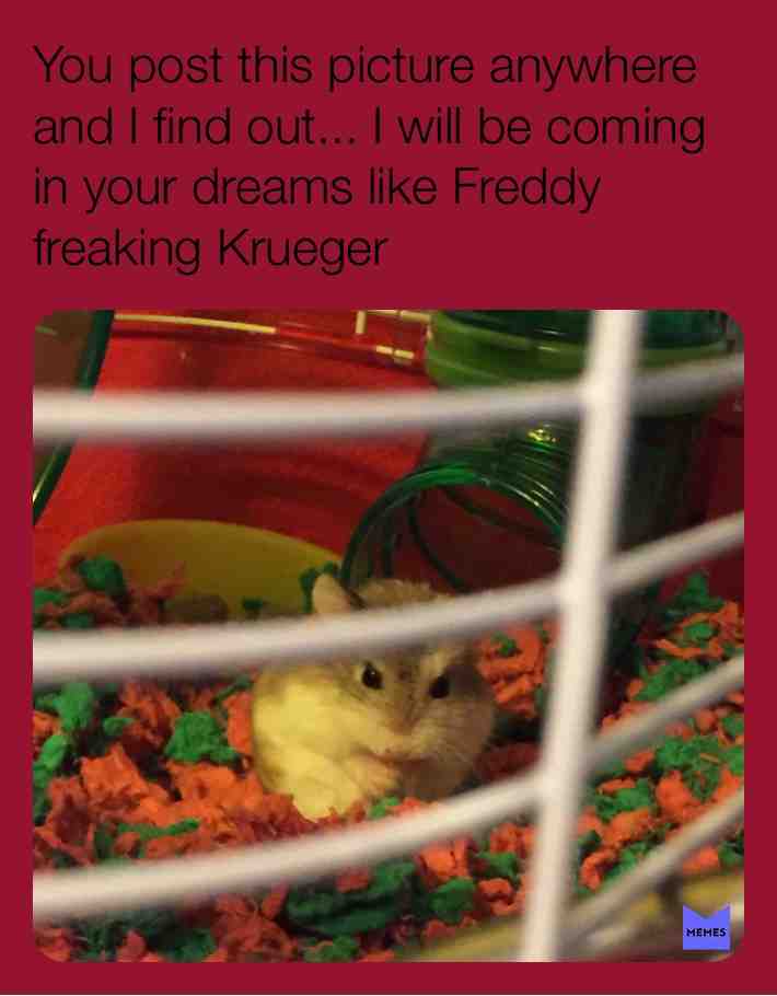 Meme shared by @whitefox