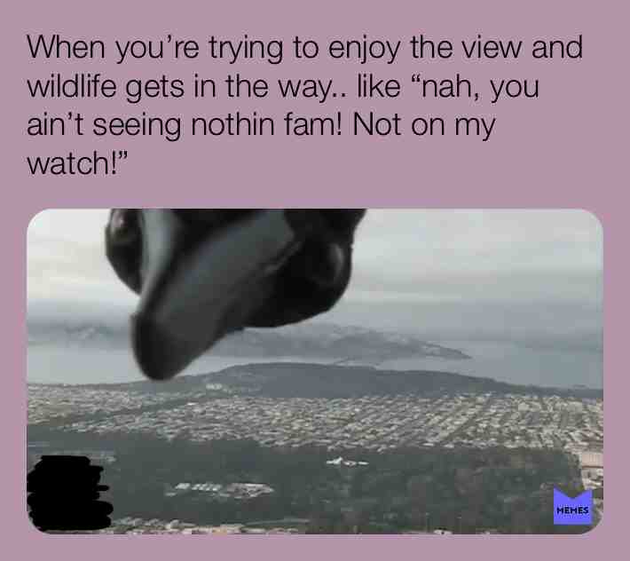 Meme shared by @whitefox