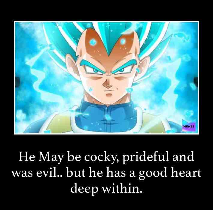 My favorite character.. he wasn’t when I first saw him but then I grew to liking him ha! #Vegeta #favorite #wasevil #goodheart #supersaiyanblue