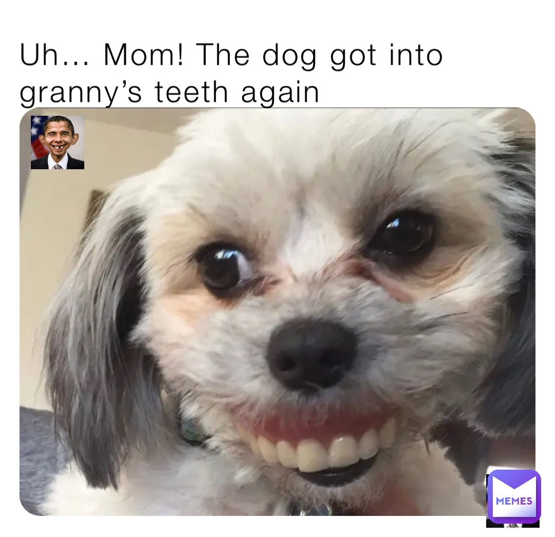 Uh… Mom! The dog got into granny’s teeth again