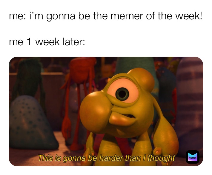 me: i’m gonna be the memer of the week!

me 1 week later: