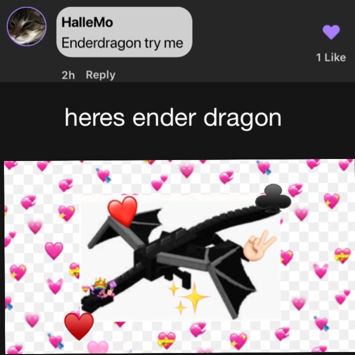 heres ender dragon