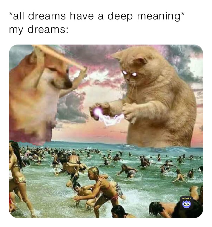 All Dreams Have A Deep Meaning My Dreams Sharly Da Dog Memes