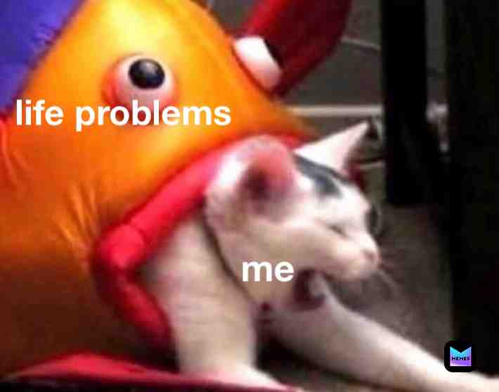 fuck #fuck #awshitherewegoagain #bruh #lifesucks #ewww #cat #lmfao #memes4dayz