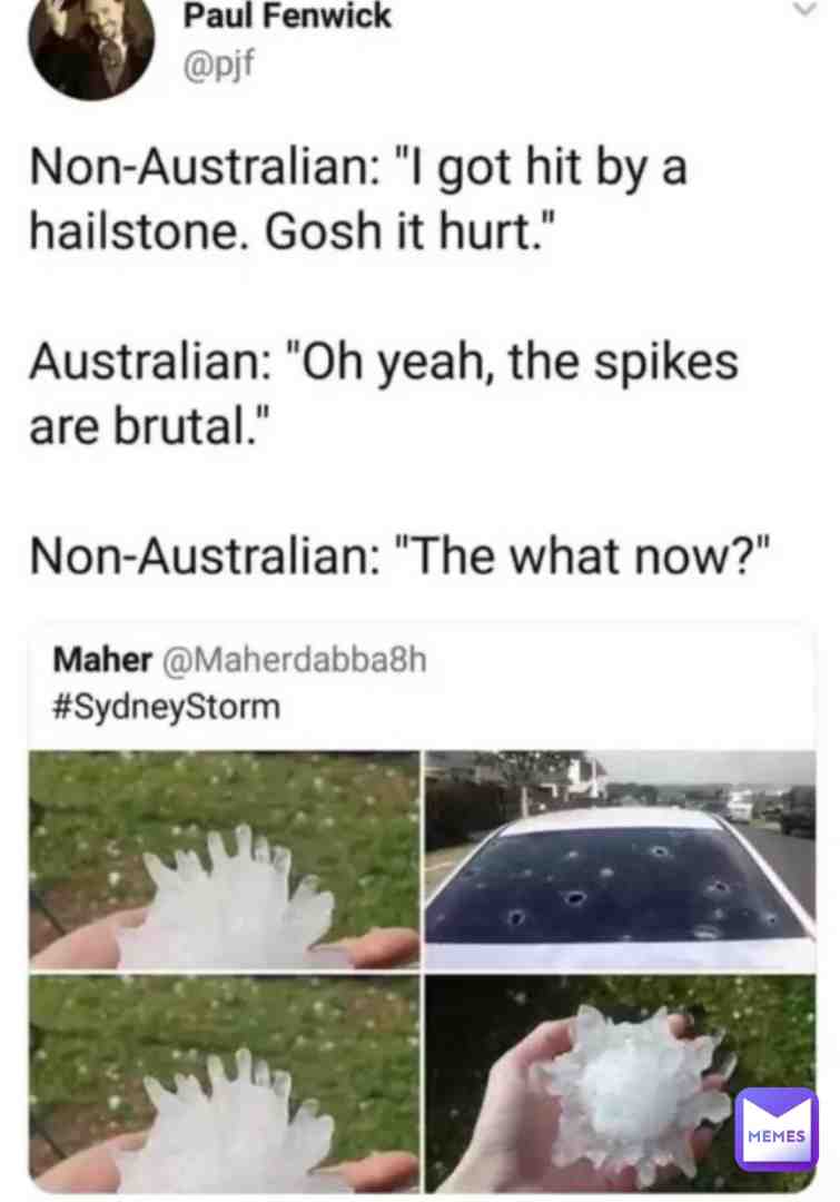 #saveamerica (save America tag on a Australian meme wtf but still) #sharlydadog