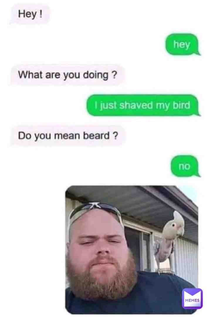 he shaved his bird #saveamerica #sharlydadog