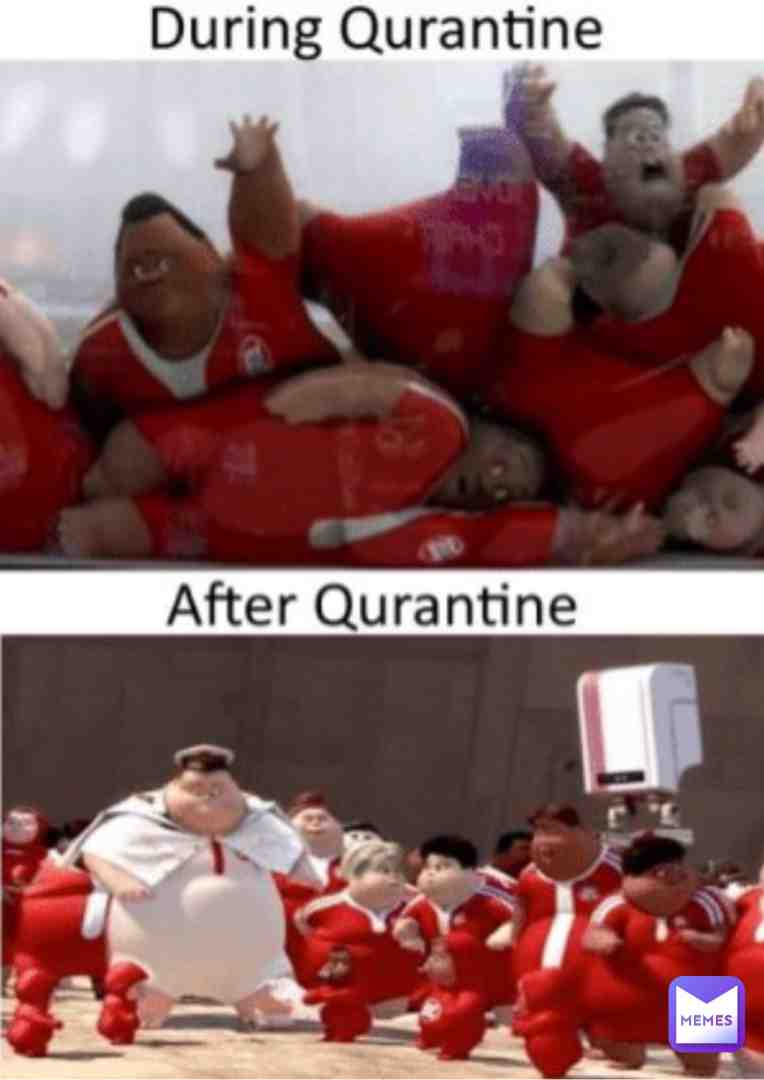 fat seals #walle #sharlydadog #saveamerica