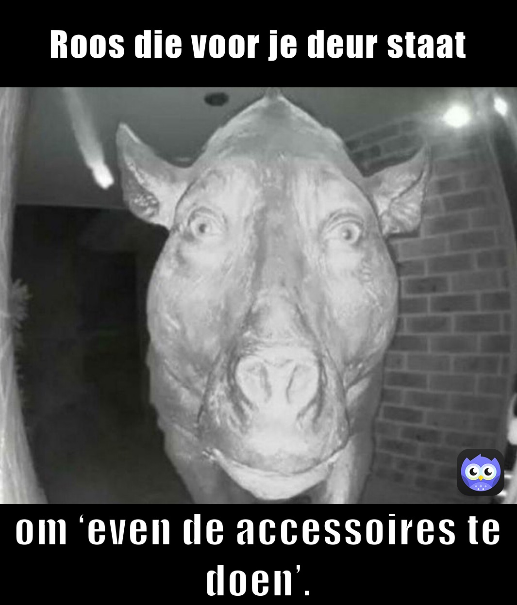 Roos die voor je deur staat om ‘even de accessoires te doen’.