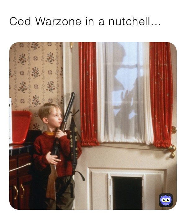 Cod Warzone in a nutchell...