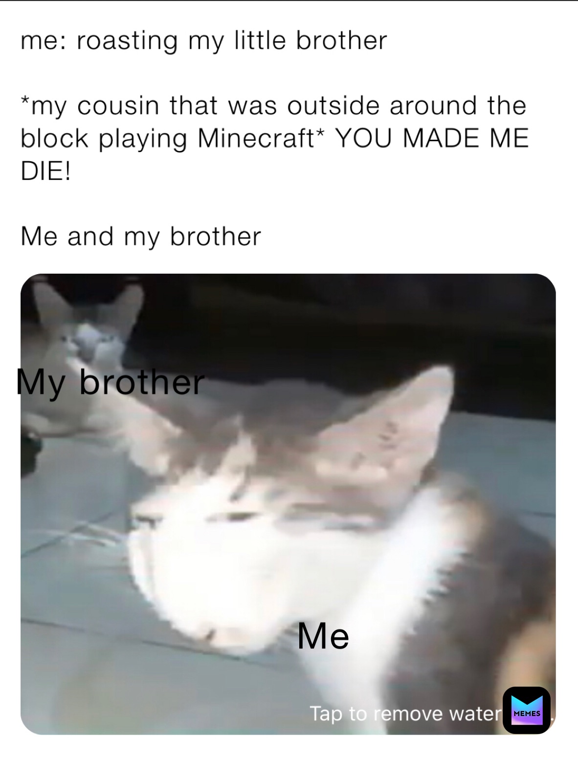 Meme by meme_the_cheetah