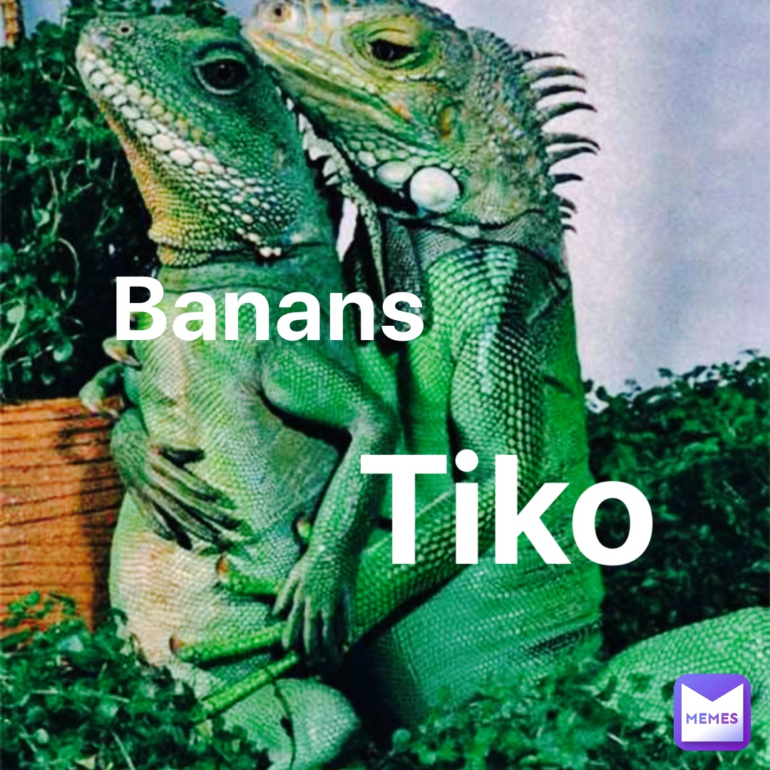 Banans Tiko