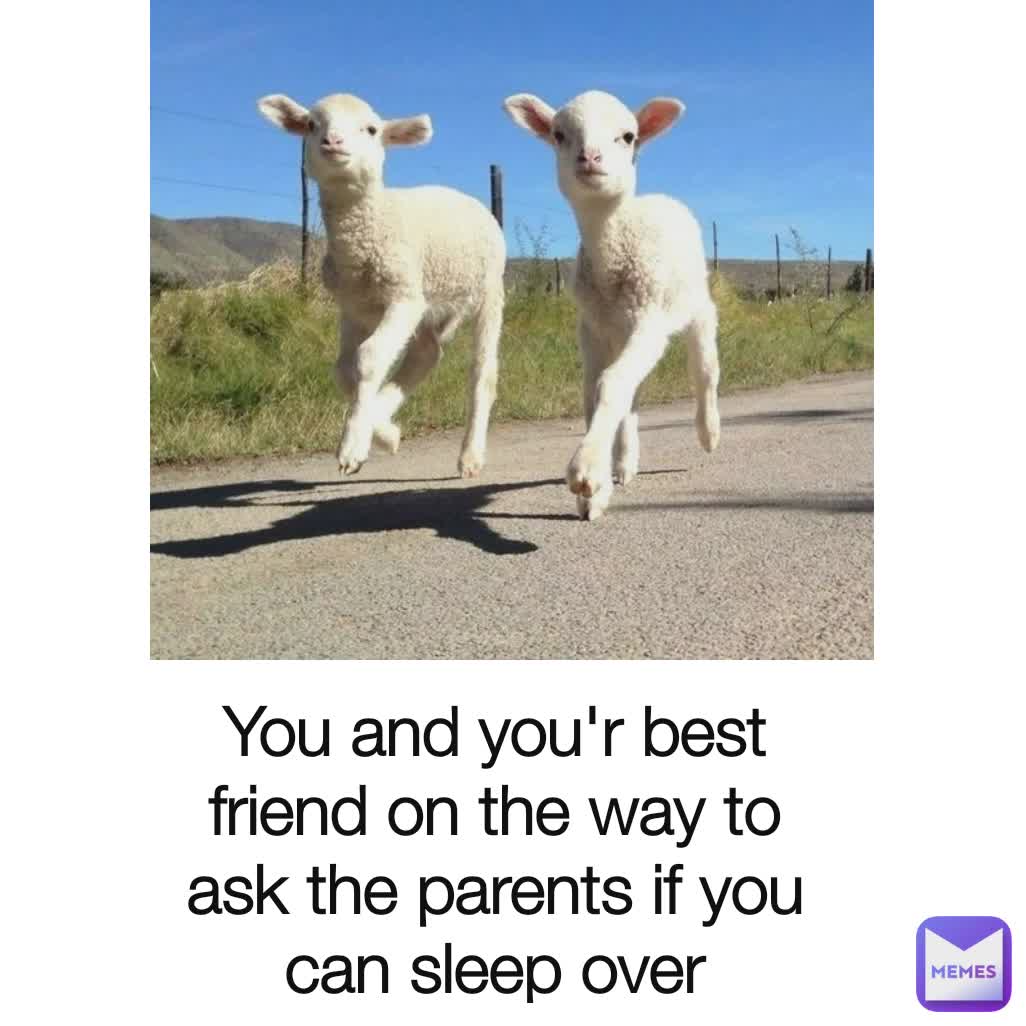 You and you'r best friend on the way to ask the parents if you can sleep over