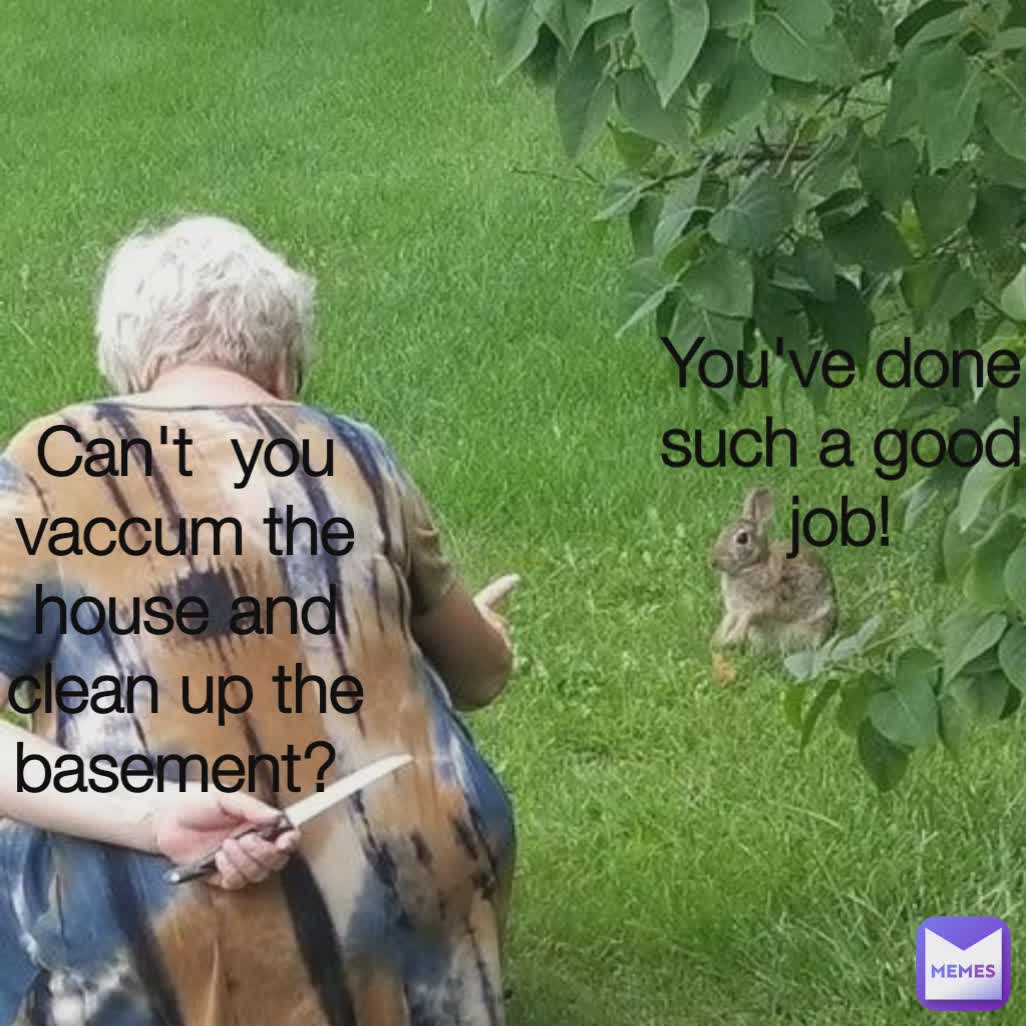 Can't  you vaccum the house and clean up the basement?  You've done such a good job!