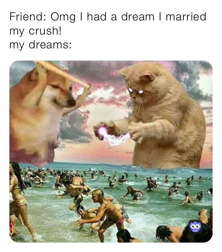 Friend: Omg I had a dream I married my crush! 
my dreams: