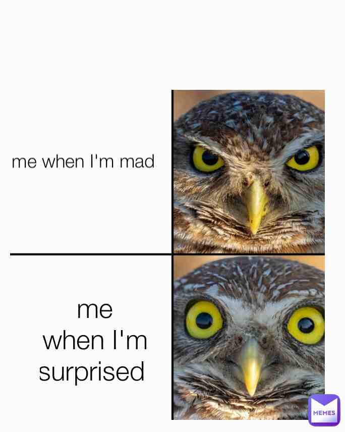 Meme preview