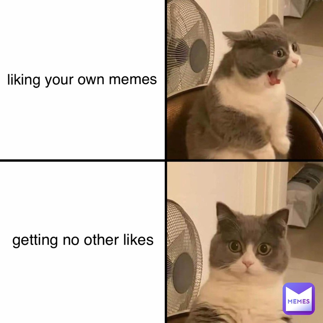 liking your own memes getting no other likes