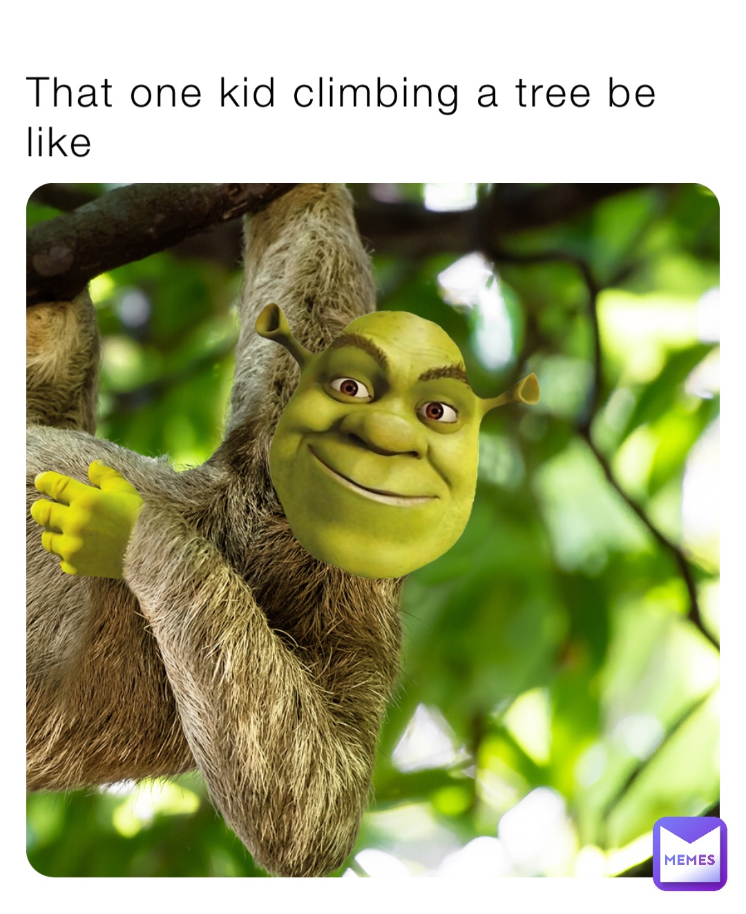 That one kid climbing a tree be like