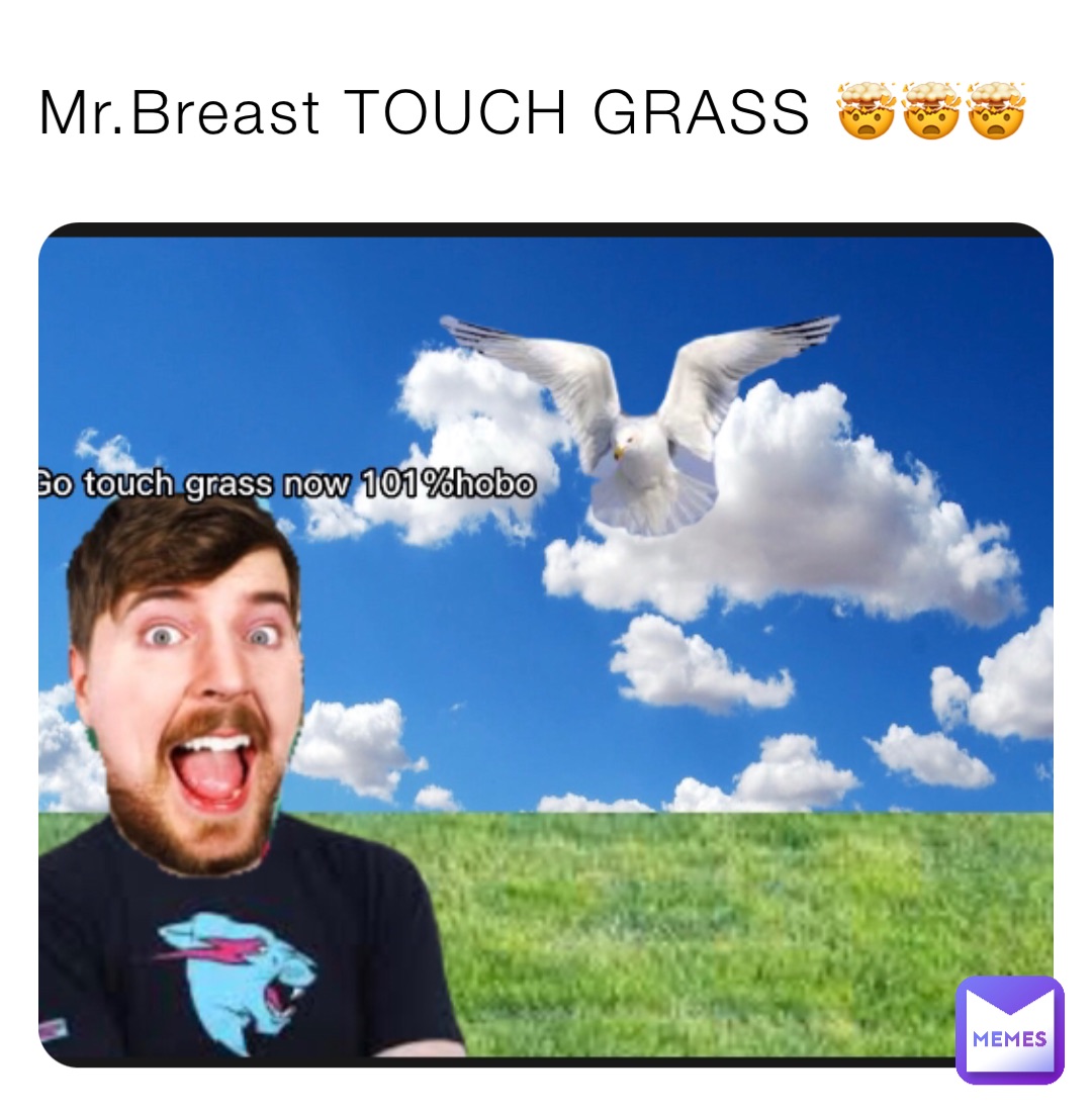 Mr.Breast TOUCH GRASS 🤯🤯🤯