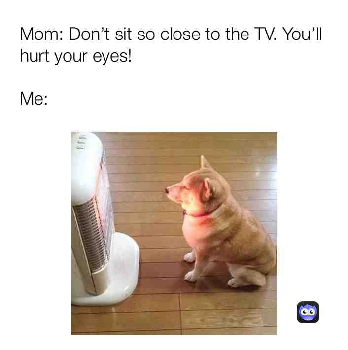 Meme shared by @JunkMemes