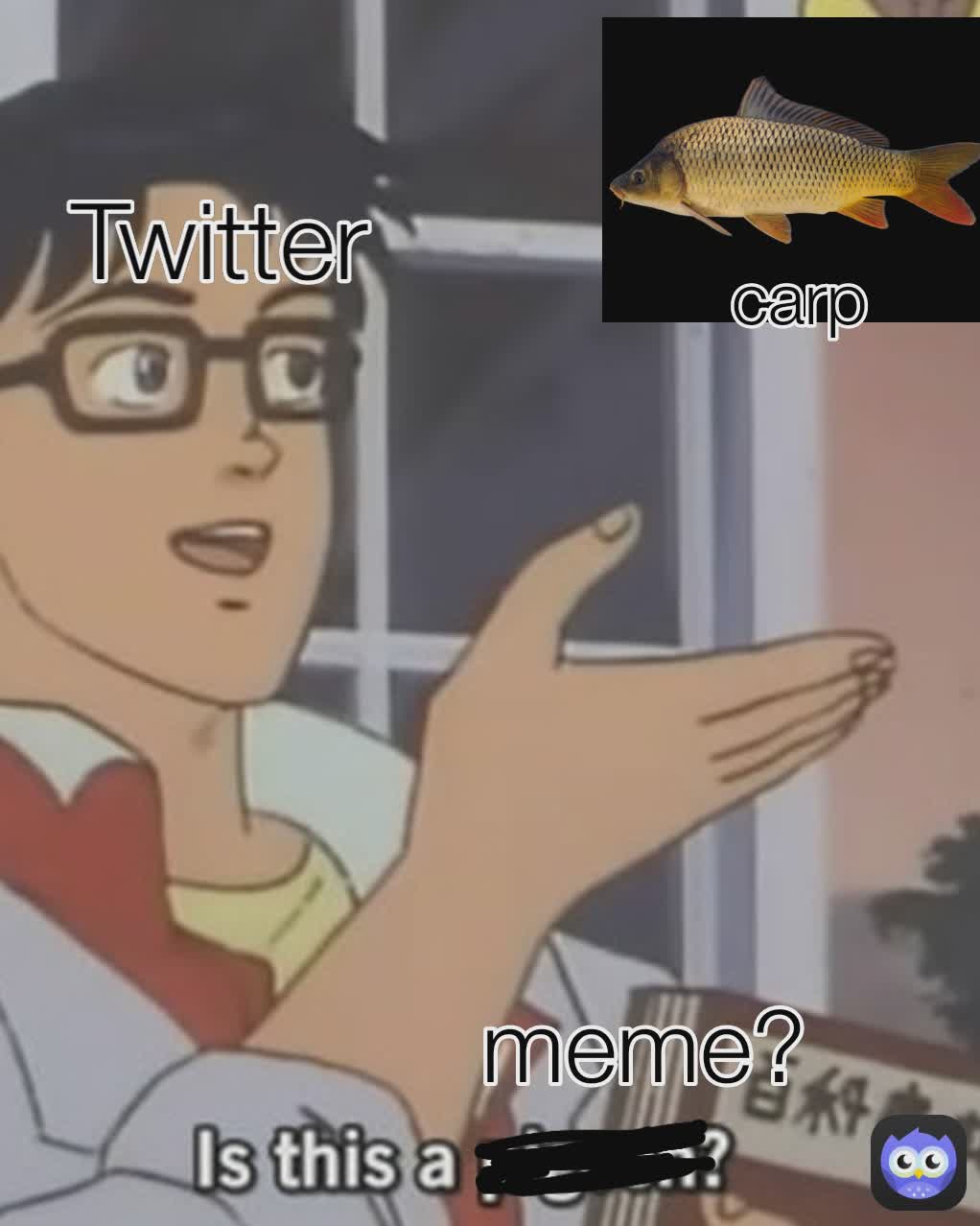 meme? carp Twitter
