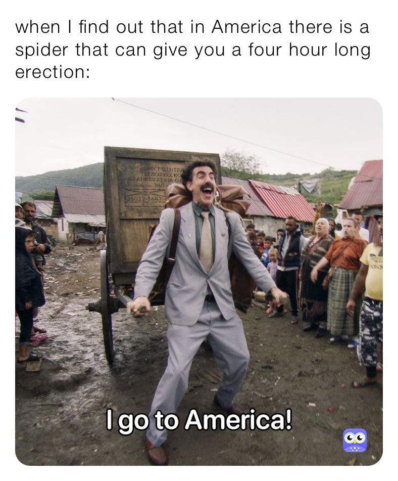 when I find out that in America there is a spider that can give you a four hour long erection: