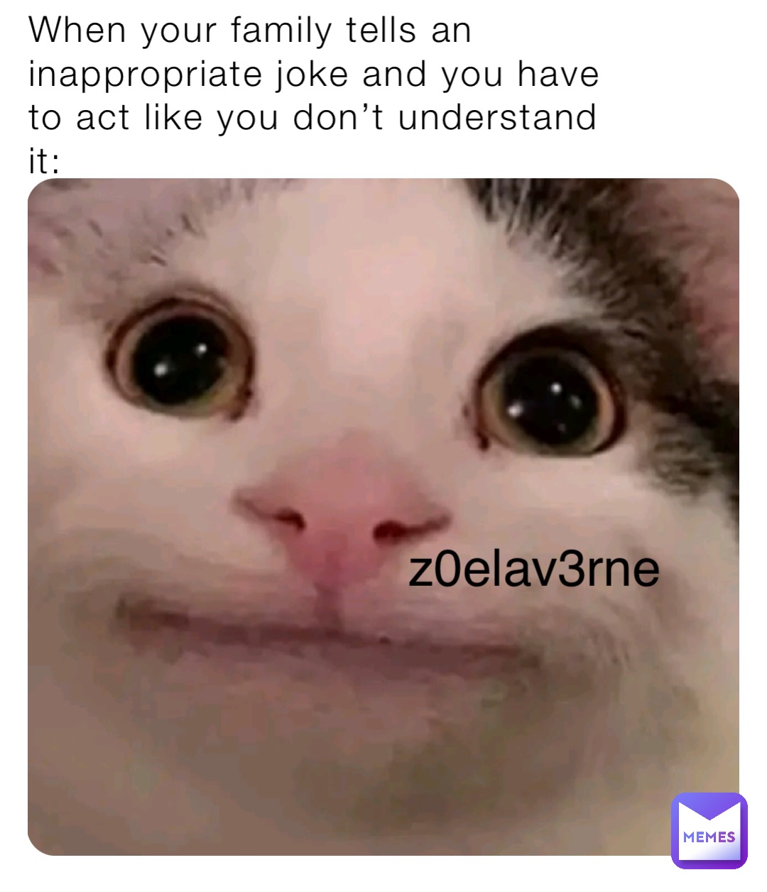 When your family tells an inappropriate joke and you have to act like you don’t understand it: z0elav3rne