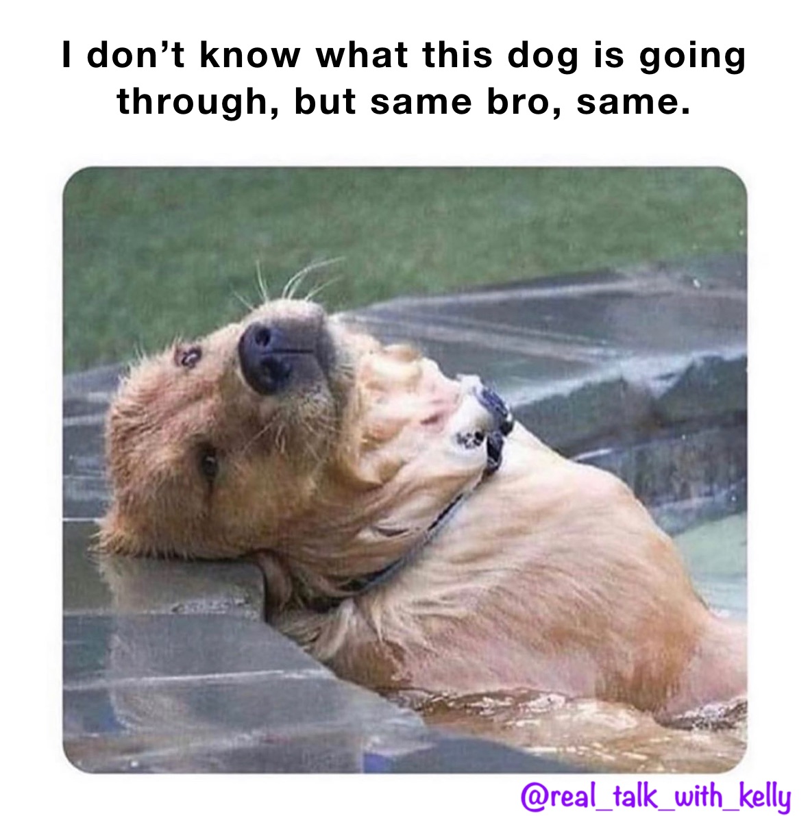 I don’t know what this dog is going through, but same bro, same. 