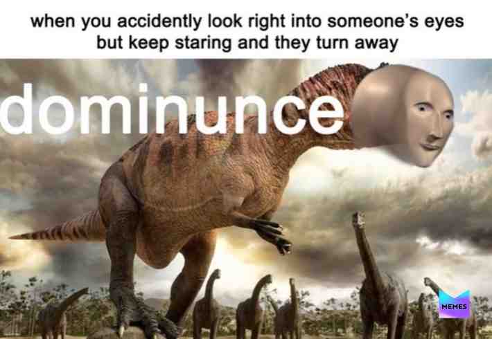 Meme shared by @elmo23316