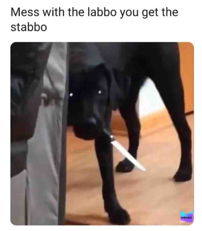 Meme shared by @elmo23316