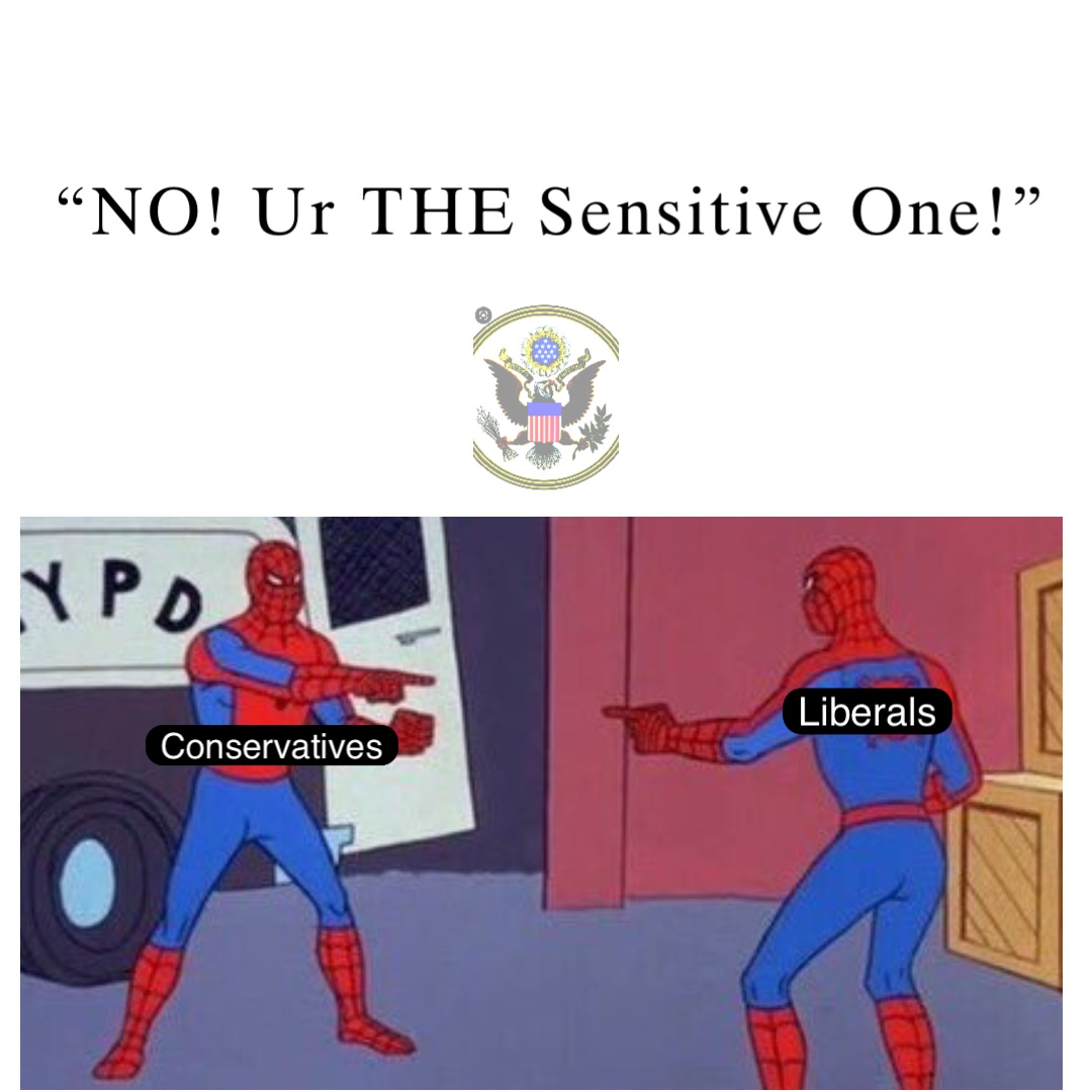 “NO! Ur THE Sensitive One!” Conservatives Liberals