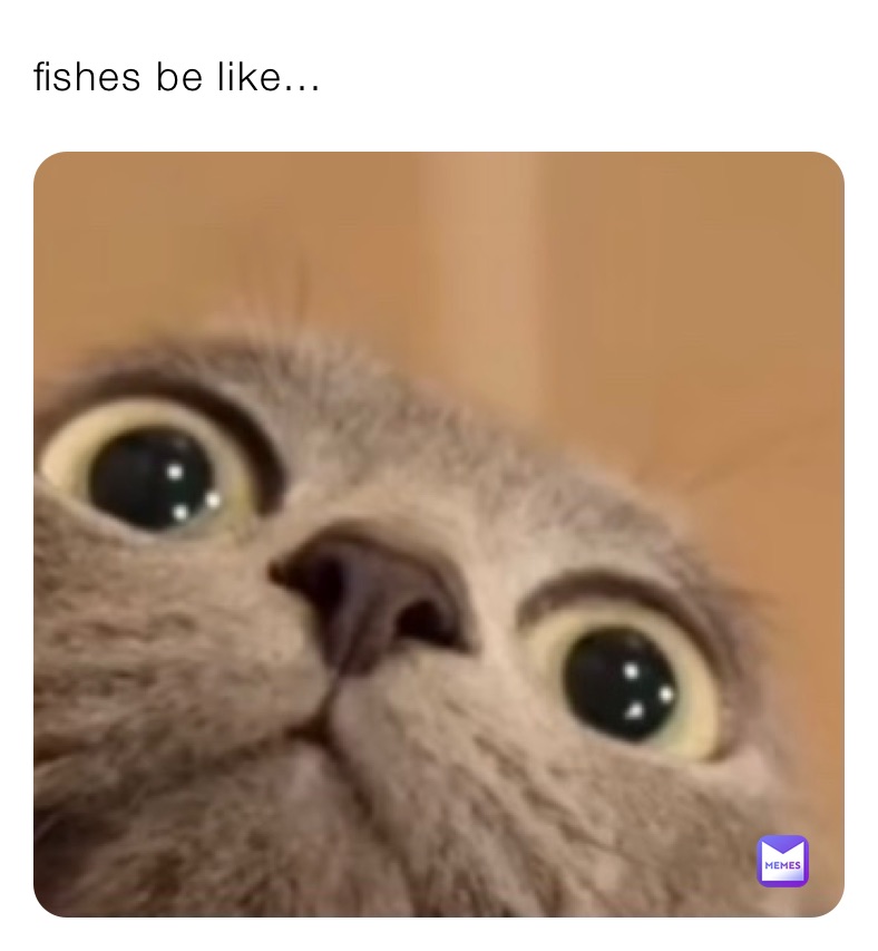 fishes be like...