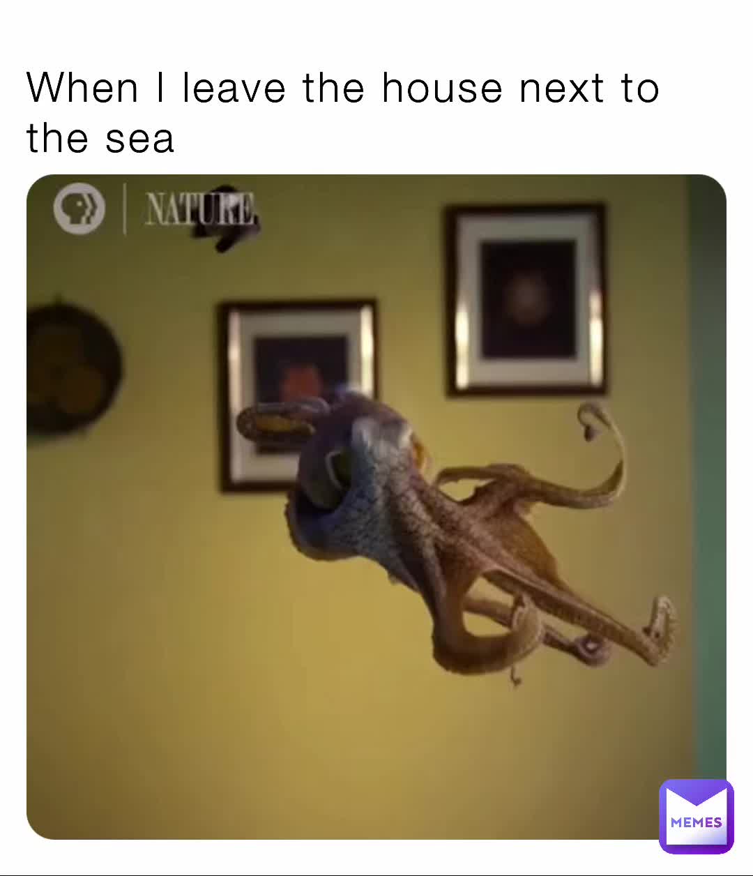 when-i-leave-the-house-next-to-the-sea-lad123-memes