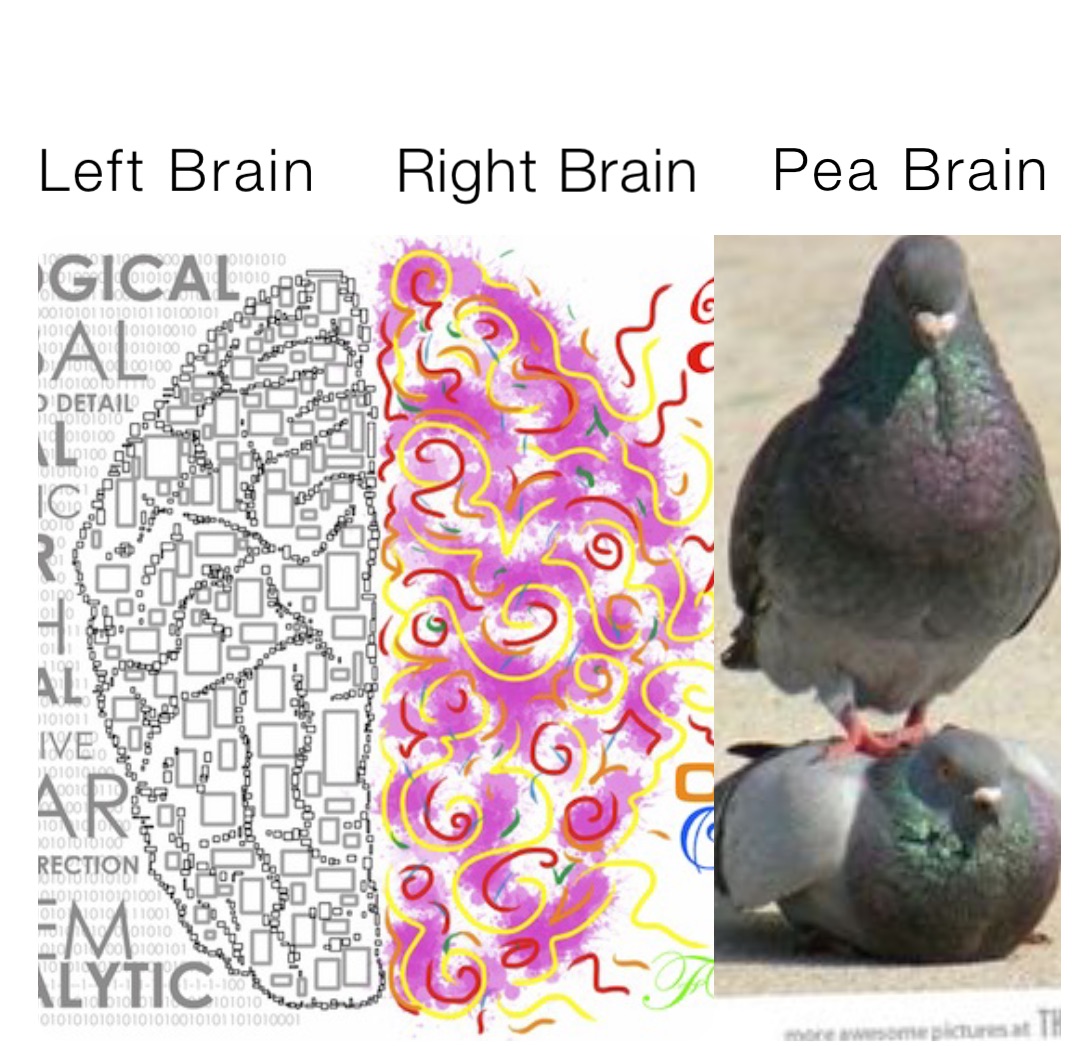 Left Brain Right Brain Pea Brain