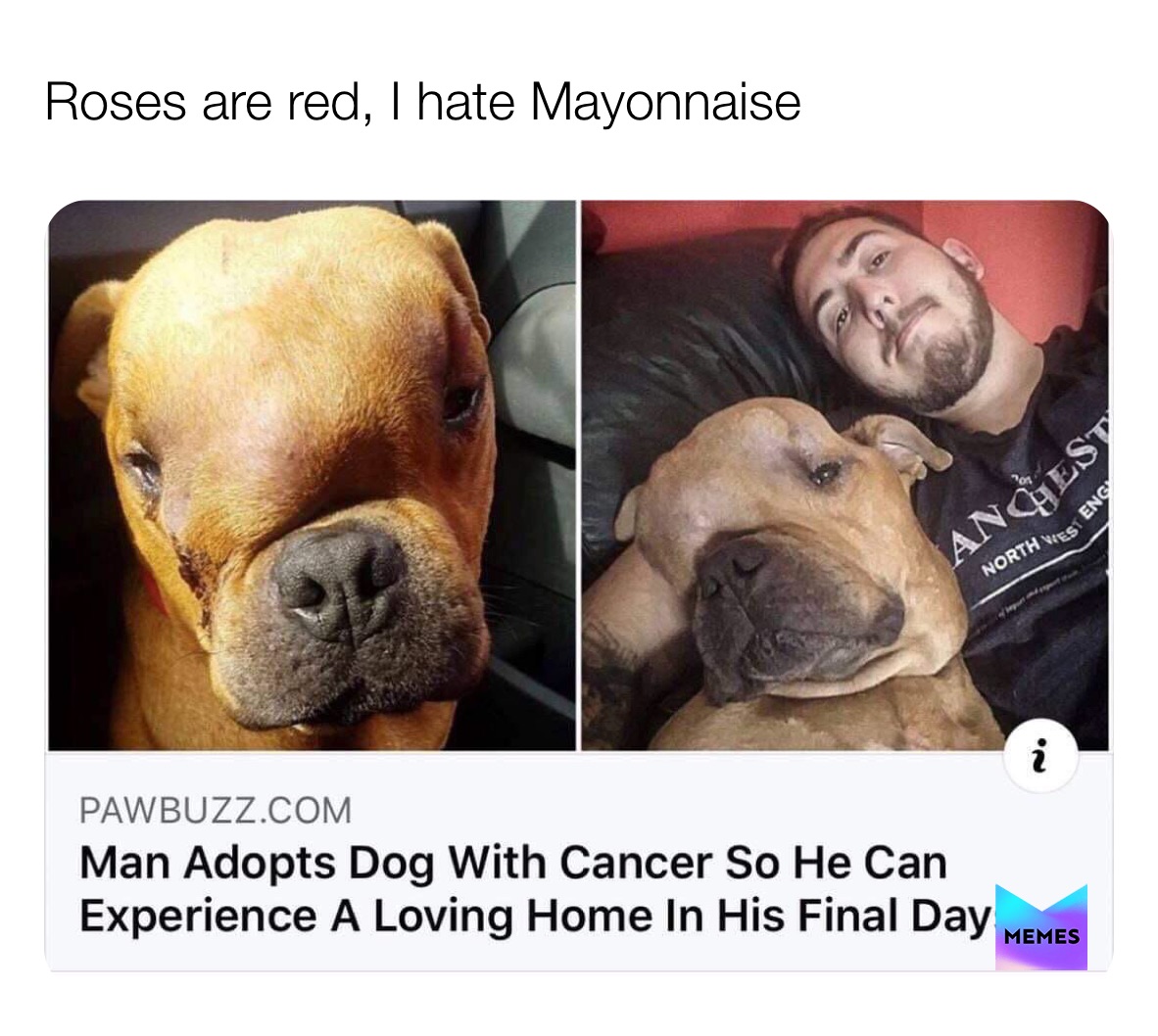 Meme by DustyCherries