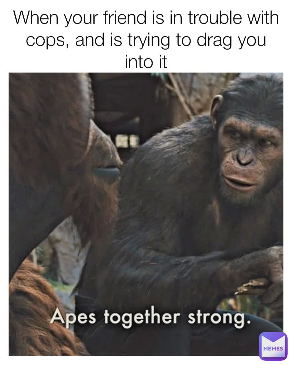 When Your Friend Is In Trouble With Cops And Is Trying To Drag You 