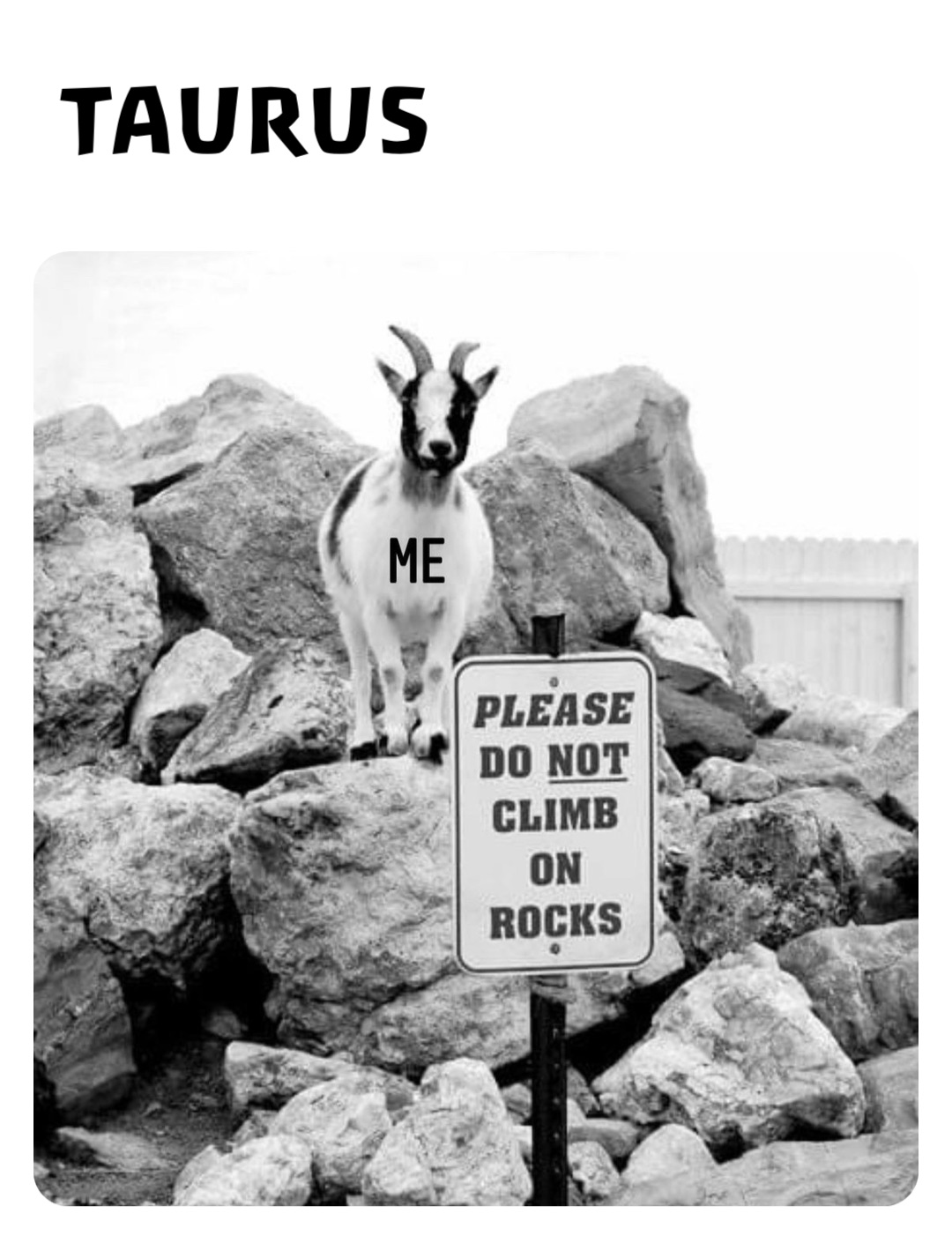 Meme by stevejordanok