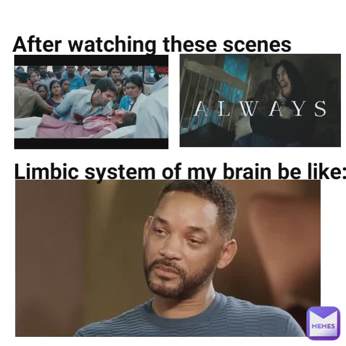 After watching these scenes  Limbic system of my brain be like: