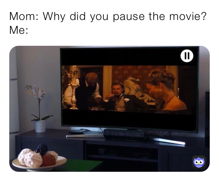 Mom: Why did you pause the movie?
Me: