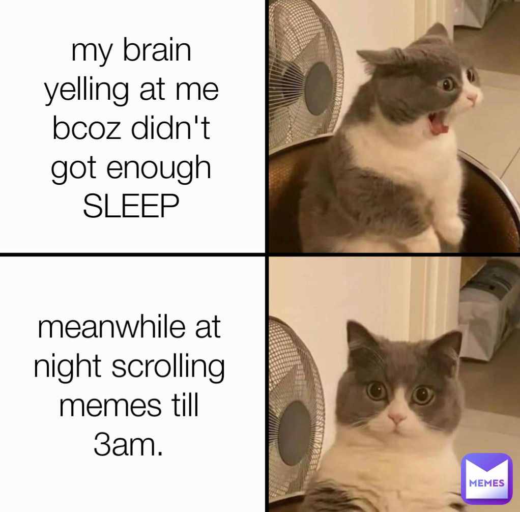 my brain yelling at me bcoz didn't got enough SLEEP meanwhile at night scrolling memes till 3am.