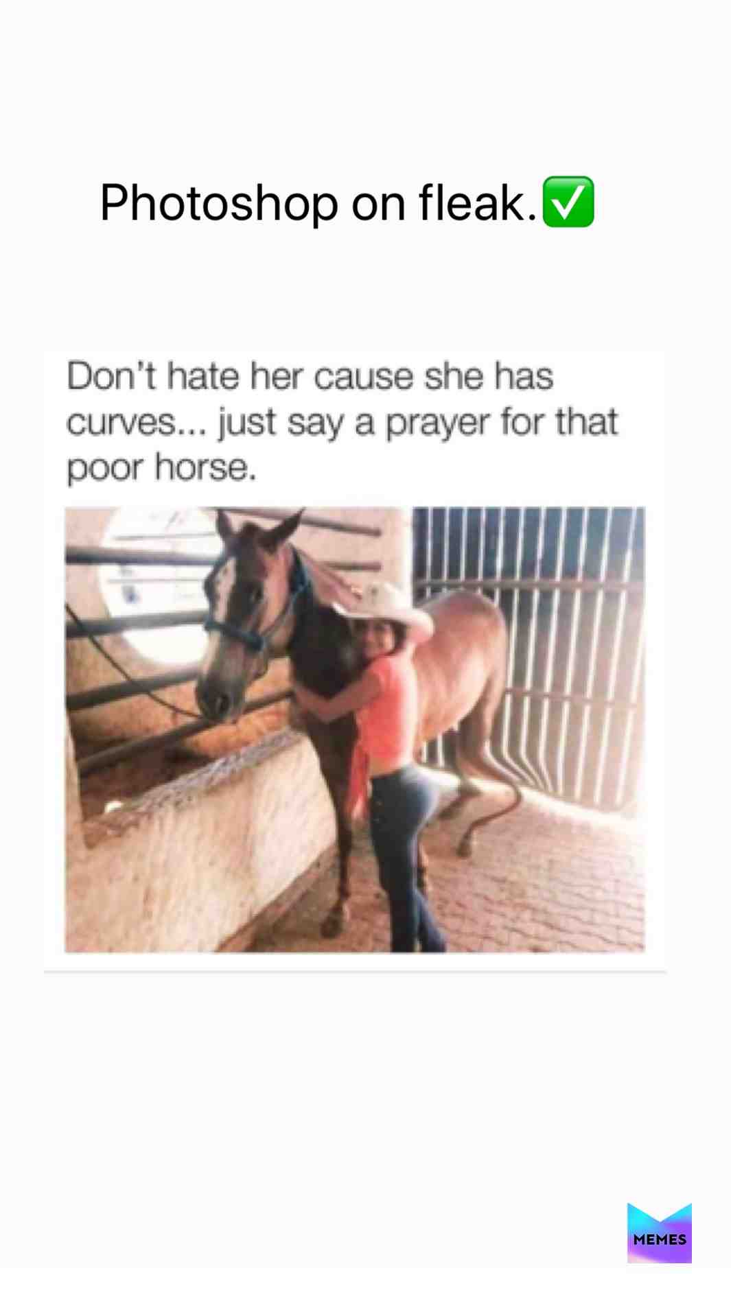 that horse is thickkk