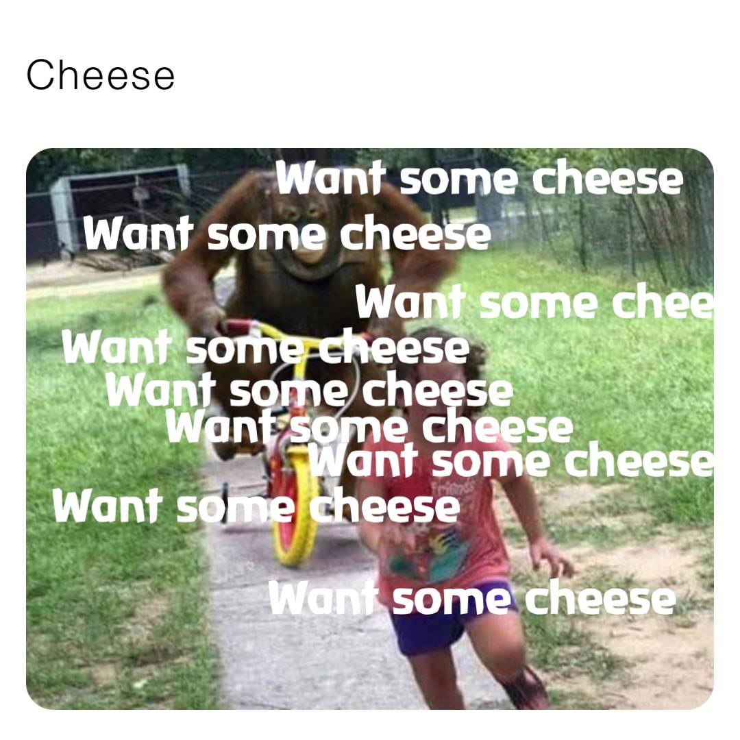 Cheese Want some cheese Want some cheese Want some cheese Want some cheese Want some cheese Want some cheese Want some cheese Want some cheese Want some cheese